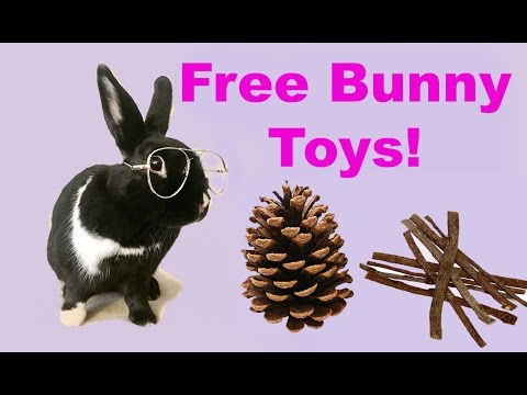 DIY FREE rabbit chew toys!