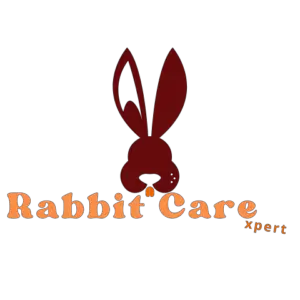 Rabbit care expert