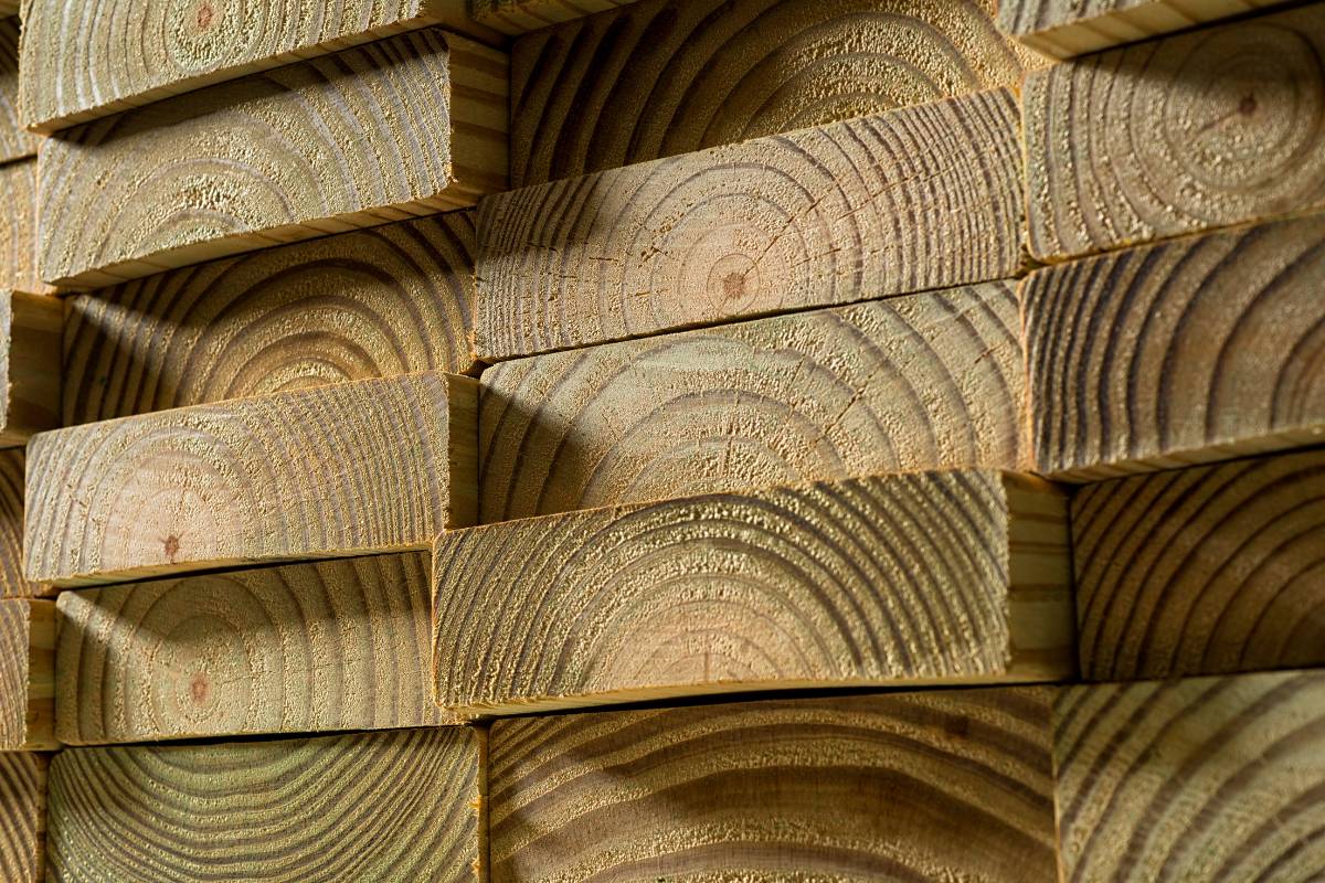 Safe Wood For Rabbits 9 Top ChewApproved Choices+What To Avoid