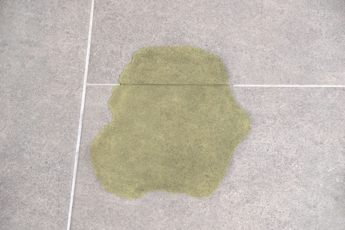 How To Clean Rabbit Urine Stains Like A Pro! » Rabbitcareexpert.com - How To Remove Rabbit Urine Stains From Tiles