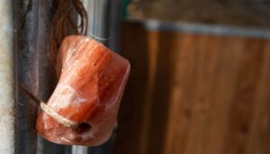 Salt Licks For Rabbits: Are They Safe? Do Rabbit Need One ...